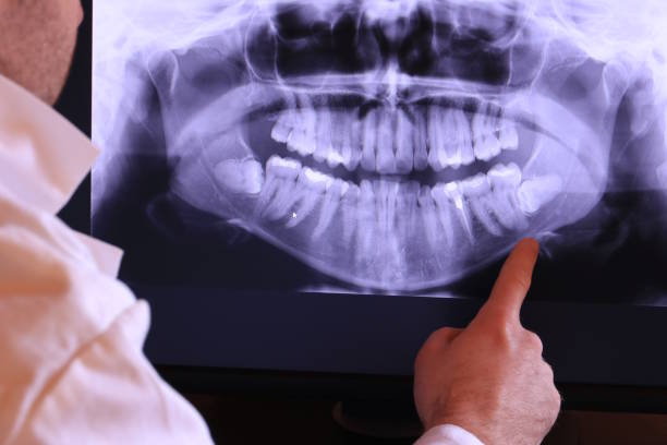 Best Emergency X-Rays and Diagnostics in Panorama Village, TX